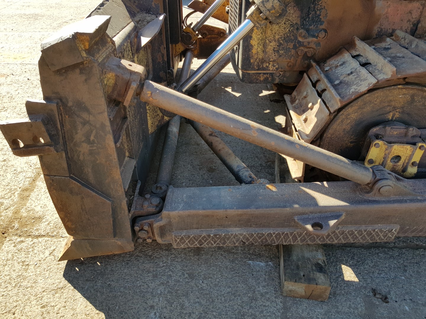 ZM008568_12.jpg